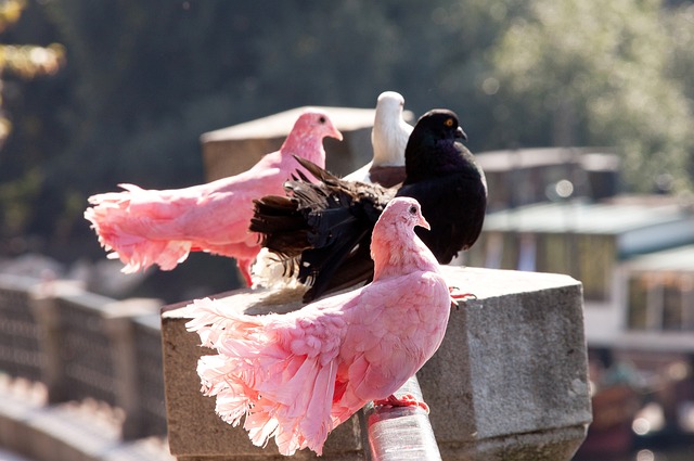 西甲战报：罗梅罗进球被吹，毕尔巴鄂竞技2-0胜莱万特
