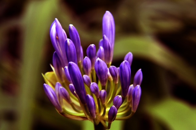 在体育历史 在体育历史