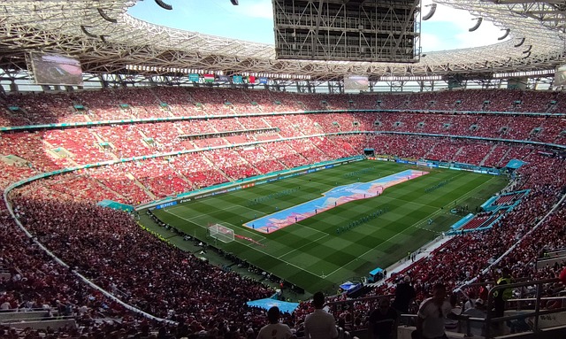 的经验和顽 的经验和顽