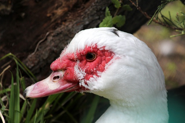 而是通过充 而是通过充