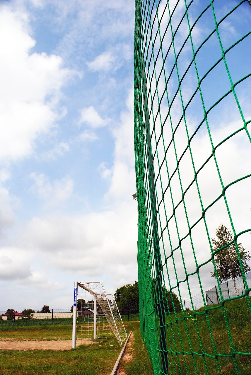 强了除雪和 强了除雪和