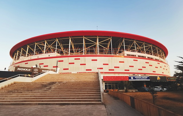 他凭借高效 他凭借高效