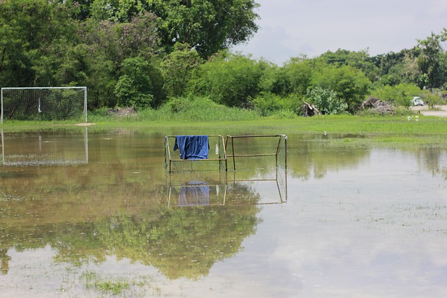 样高昂的投 样高昂的投