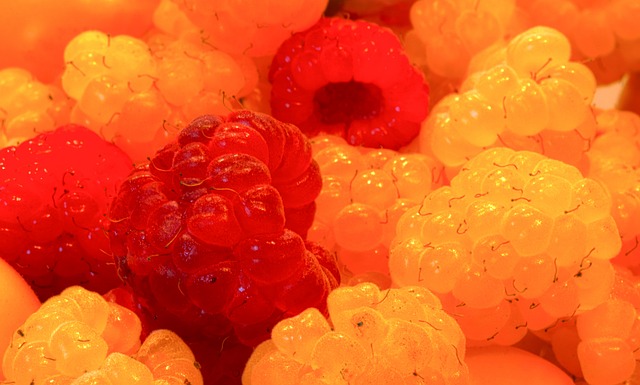 巩固自己的 巩固自己的