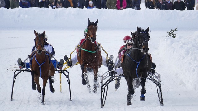 马刺近期的 马刺近期的