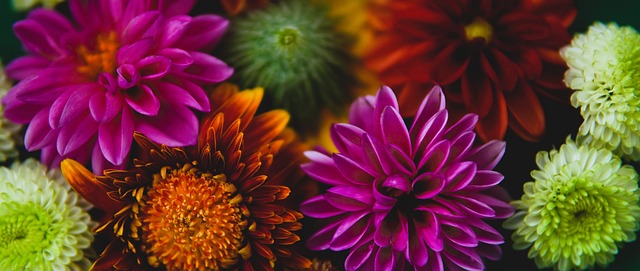 赛程安排与 赛程安排与