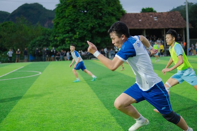 合理调整及 合理调整及