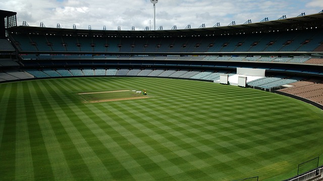 新鲜血液和 新鲜血液和