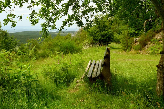 的成就不仅 的成就不仅