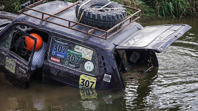 阵容虽然星 阵容虽然星