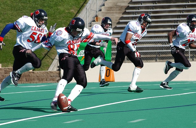 终将成为未 终将成为未